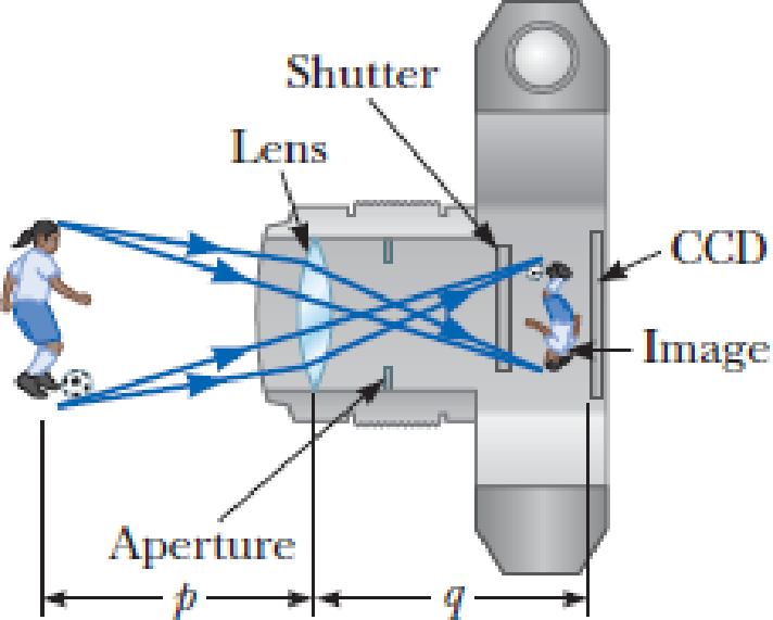 Chapter 26, Problem 39P, Figure P26.39 diagrams a cross-section of a camera. It has a single lens of focal length 65.0 mm, 