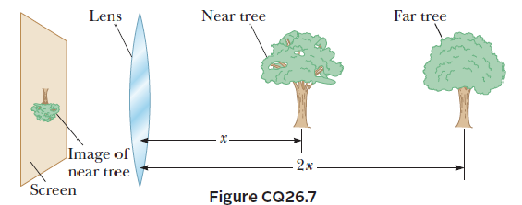 Chapter 26, Problem 7CQ, Suppose you want to use a converging lens to project the image of two trees onto a screen. As shown 