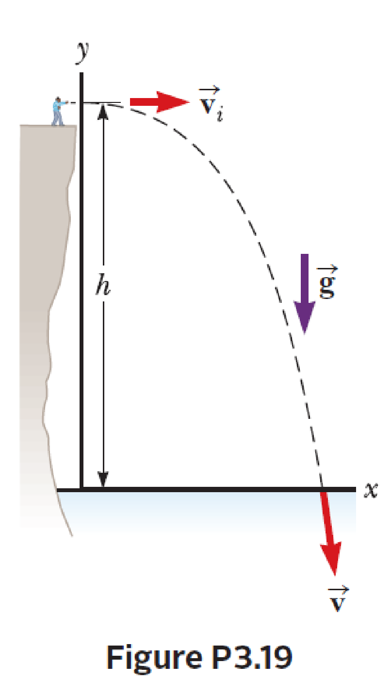 Chapter 3, Problem 19P, A student stands at the edge of a cliff and throws a stone horizontally over the edge with a speed 