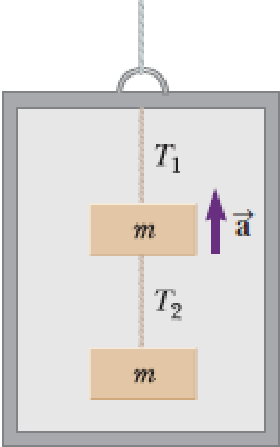 Chapter 4, Problem 33P, Two blocks, each of mass m = 3.50 kg, are hung from the ceiling of an elevator as in Figure P4.33. 
