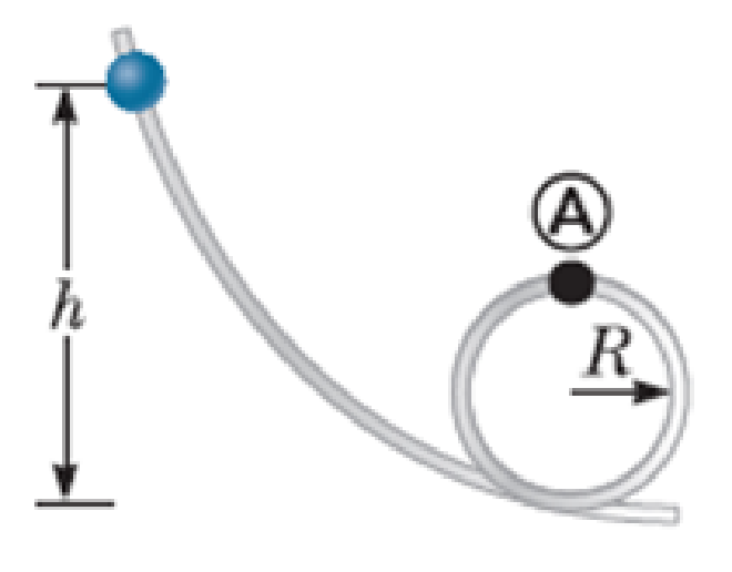 Chapter 7, Problem 3P, Review. A bead slides without friction around a loop-the-loop (Fig. P7.3). The bead is released from 