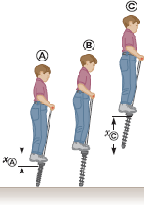 Chapter 7, Problem 69P, A childs pogo stick (Fig. P7.69) stores energy in a spring with a force constant of 2.50  104 N/m. 