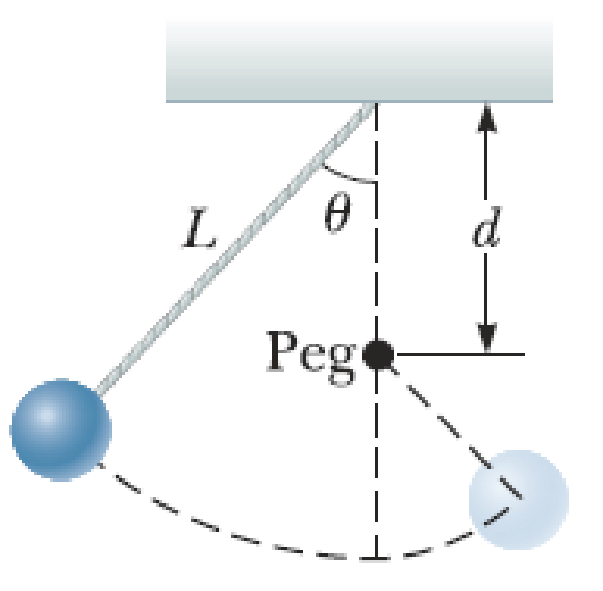 Chapter 7, Problem 80P, A pendulum, comprising a light string of length L and a small sphere, swings in the vertical plane. 