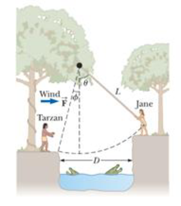 Chapter 7, Problem 81P, Jane, whose mass is 50.0 kg, needs to swing across a river (having width D) filled with 