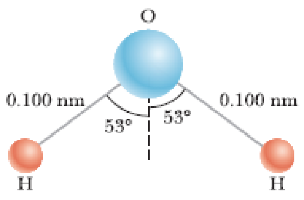 Chapter 8, Problem 36P, A water molecule consists of an oxygen atom with two hydrogen atoms bound to it (Fig. P8.36). The 