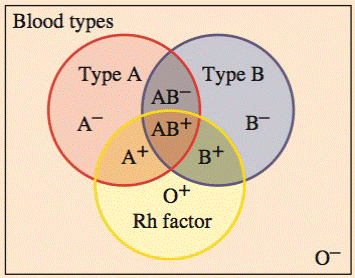 Chapter 2.CR, Problem 18CR, Human blood is typed Rh+ positive blood or Rh negative blood. This Rh factor is called an antigen. 