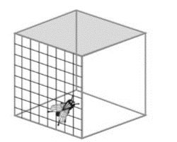 Chapter 7.1, Problem 2PS, Is the fly in the Figure 7.11 on the cube or in the cube? Figure 7.11 Is the fly on the cube or in 