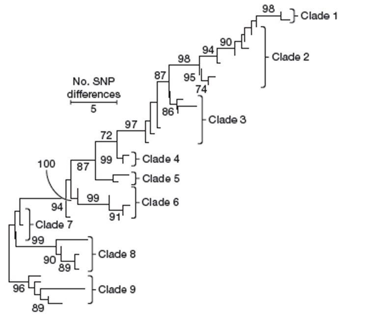 Chapter 19, Problem 6CHI, In 2007 a severe food-borne outbreak of enterohemorrhagic E. coli (EHEC) O157:H7 occurred in the 