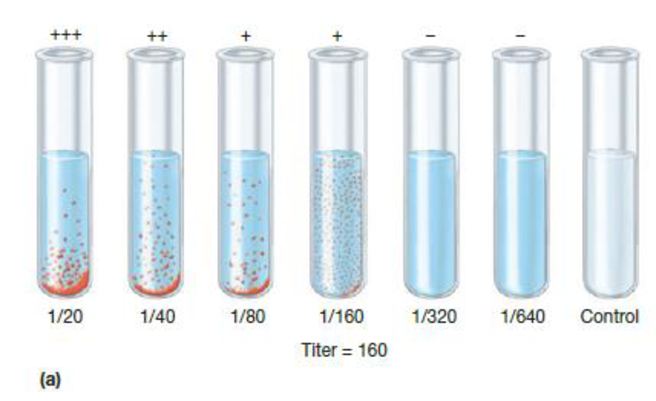 Chapter 36.4, Problem 2MI, Figure 36.10 Agglutination Tests. (a) Tube agglutination test for determining antibody titer. The , example  1