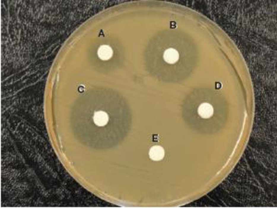 Chapter 9.3, Problem 1MI, To which antibiotic (A, B, C, D, or E) is the plated bacterium resistant? 