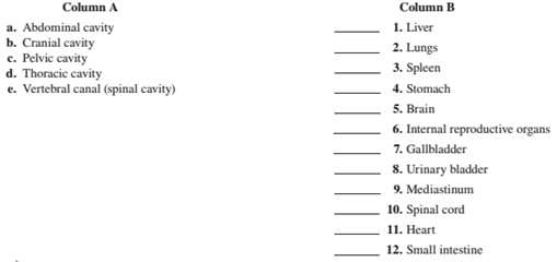 Chapter 2, Problem 1.1A, Match the body cavities in column A with the organs contained in the cavities in column B. Place the 