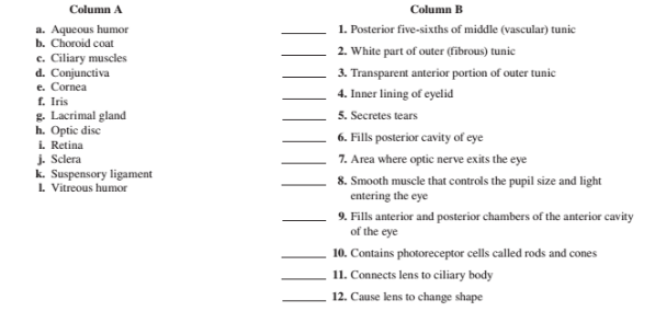 Chapter 34, Problem 1.1A, Match the terms in column A with the descriptions in column B. Place the letter of your choice in 