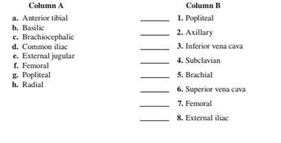 Chapter 40, Problem 5.1A, Match each vein in column A with the vein it drains into from column B Place tit letter of your 