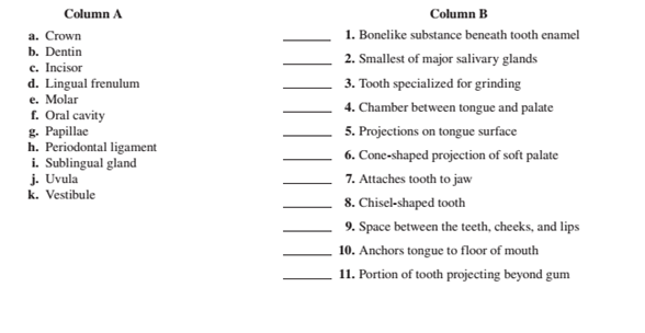 Chapter 43, Problem 1.1A, Match the terms in column A with the descriptions in column B. Place the letter of your choice in 