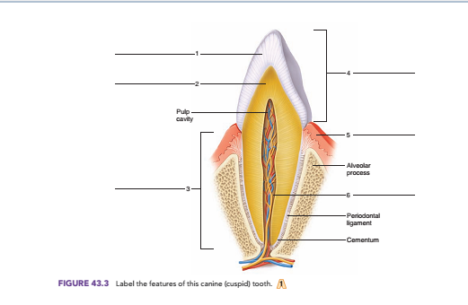 Chapter 43, Problem F43.3A,  