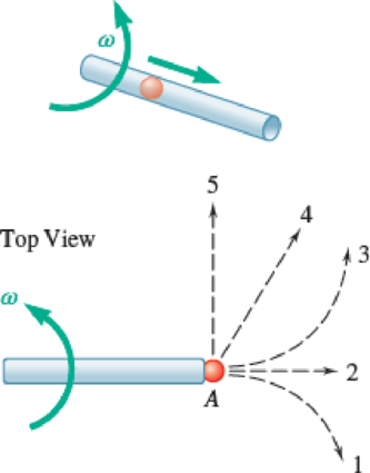 Chapter 12.1, Problem 12.2CQ, Marble A is placed in a hollow tube, and the tube is swung in a horizontal plane causing the marble 