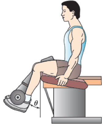 Chapter 16.2, Problem 16.80P, An athlete performs a leg extension on a machine using a 20-kg mass at A located 400 mm away from , example  2