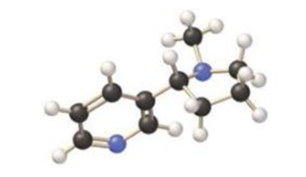 Chapter 7, Problem 7.102QP, The molecular model of nicotine (a stimulant) is shown here, (a) Write the molecular formula of the 