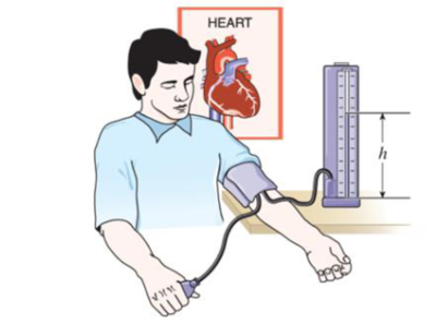 Chapter 1.11, Problem 72P, The maximum blood pressure in the upper arm of a healthy parson is about 120 mmHg. If a vertical 