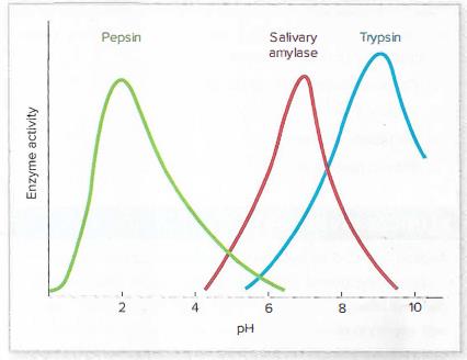 Chapter 4, Problem 23RA, Use the graph here and in figure 4.4 to answer the following questions: What are the pH optima of 