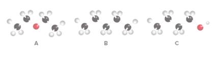 Chapter 14, Problem 51P, Rank the following compounds in order of increasing boiling point. 