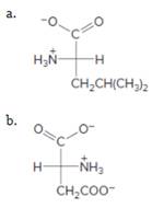 Chapter 21, Problem 28P, Which of the following Fischer projections represent naturally occurring amino acids? Name each 