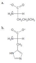 Chapter 21, Problem 30P, For each amino acid: [1] give the name; [2] give the three-letter abbreviation; [3] give the 