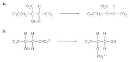 Chapter 21, Problem 71P, What class of enzyme catalyzes each of the following reactions? 
