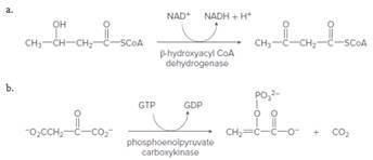 Chapter 24, Problem 24.29P, Analyze each reaction by considering the functional groups that change, the coenzyme or other 