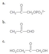 Chapter 24, Problem 95P, What type of enzyme would catalyze the conversion ofhydroxyacetone (CH3COCH2OH) to each compound? 