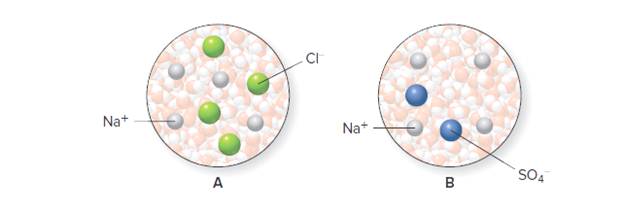 Chapter 8, Problem 78P, Representations A (containing 1.0 mol ofNaCl) and B (containing 0.5 mol of Na2SO4 ) show aqueous 