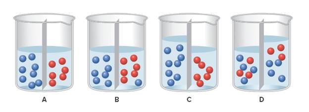 Chapter 8.9, Problem 8.18P, Consider the two aqueous solutions separated by a semipermeable membrane, shown in representation A. 