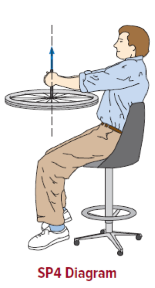 Chapter 8, Problem 4SP, A student sitting on a stool that is free to rotate, but is initially at rest, holds a bicycle 