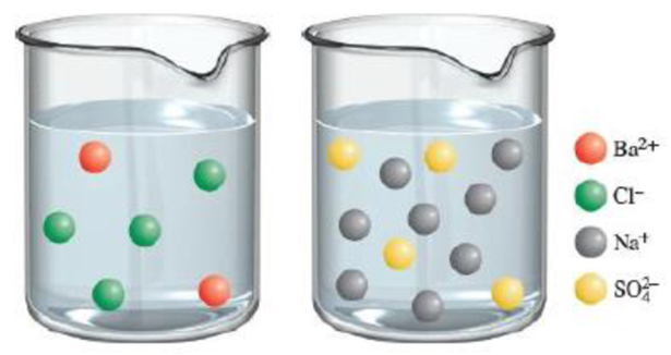 Chapter 4, Problem 4.107QP, Shown are two aqueous solutions containing various ions. The volume of each solution is 200 mL. (a) 