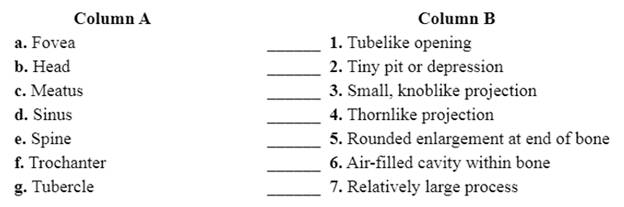 Chapter 13, Problem 3.2A, Match the terms in column A with the definitions in column B. Place the letter of your choice in the 