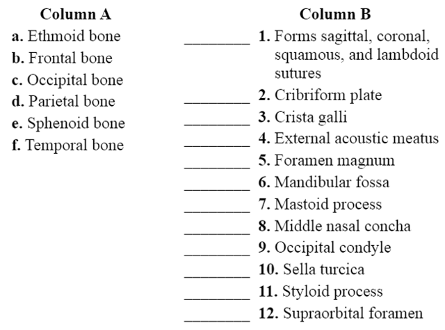 Chapter 14, Problem 2.1A, Match the bones in column A with the features in column B. Place the letter of your choice in the 