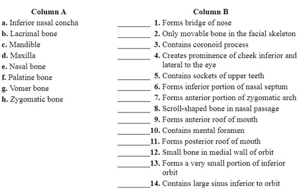 Chapter 14, Problem 4.1A, Match the bones in column A with the characteristics in column B. Place the letter of your choice in 