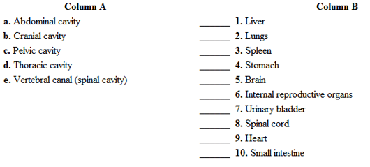 Chapter 2, Problem 1.1A, Match the body cavities in column A with the organs contained in the cavities in Column B. Place the 