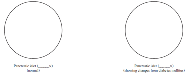 Chapter 40, Problem 3.2A, The circles below represent the microscopic field of view. In each circle, sketch and label 