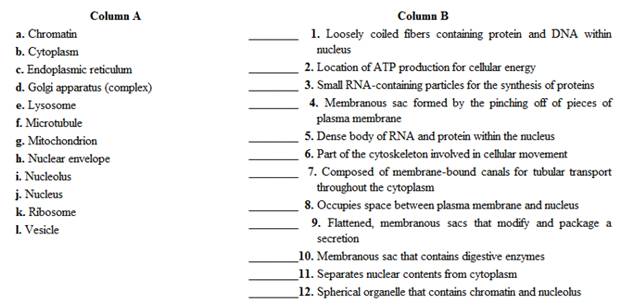 Chapter 5, Problem 1.2A, Match the cellular components in column A with the descriptions in column B- Place the letter of 