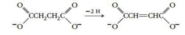 Chapter 11, Problem 82QRT, The reaction is catalyzed by the enzyme succinate dehydrogenase. When malonate ions or oxalate ions , example  1