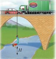 Chapter 6.2, Problem 82E, Bungee Jumping A bungee jumper plummets from a high bridge to the river below and then bounces back 