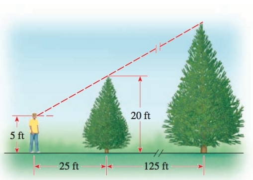Chapter P.9, Problem 46E, APPLICATIONS Height of Tree A woodcutter determines the height of a tall tree by first measuring a 