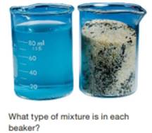 Chapter 2, Problem 2.5TC, Classify the following as homogenous or heterogeneous: aThe contents of the beaker on the left in 