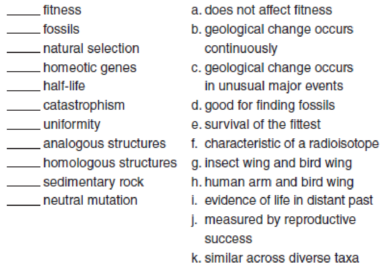 match each term with the correct definition. municipality survey township