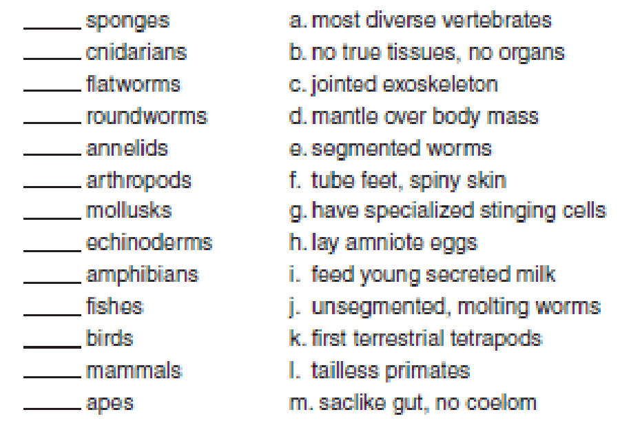 Match the organisms with the appropriate description. | bartleby