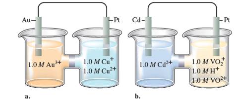 Chapter 11, Problem 22E, Consider the following galvanic cells: For each galvanic cell, give the balanced cell equationand , example  1