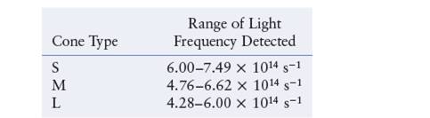 Chapter 12, Problem 24E, Human color vision is “produced” by the nervous systembased on how three different cone receptors 