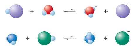 Chapter 7, Problem 19E, The following are representations of acidbase reactions: a. Label each of the species in both 