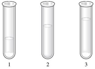 Chapter 8, Problem 137E, A series of chemicals was added to some AgNO3(aq).NaCl(aq) was added first to the silver nitrate 